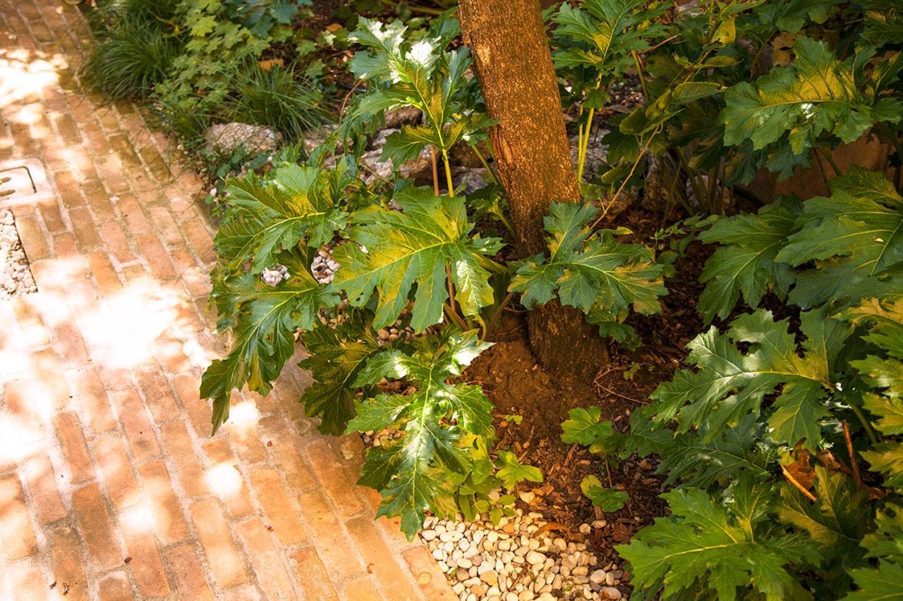 Urban Jungle Apartment Bologna Luaran gambar