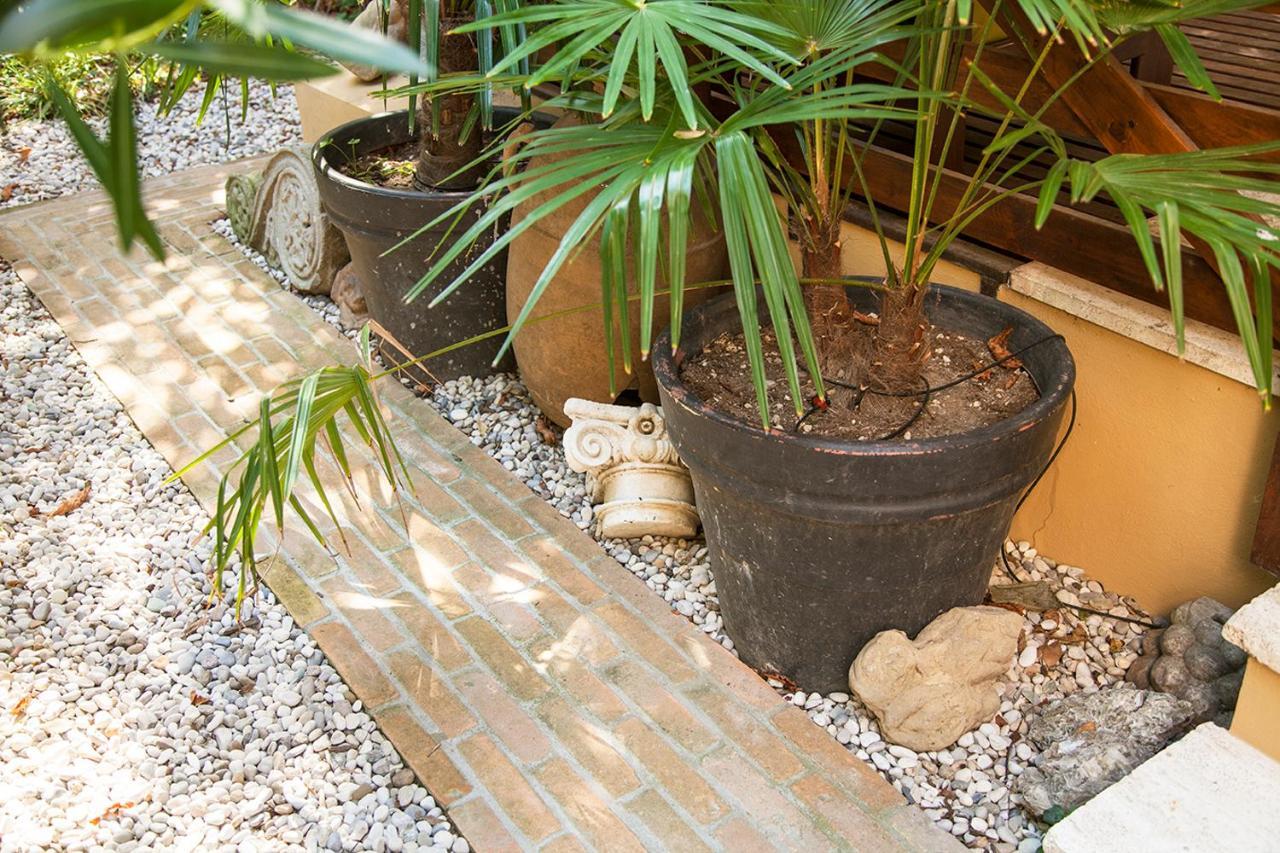 Urban Jungle Apartment Bologna Luaran gambar