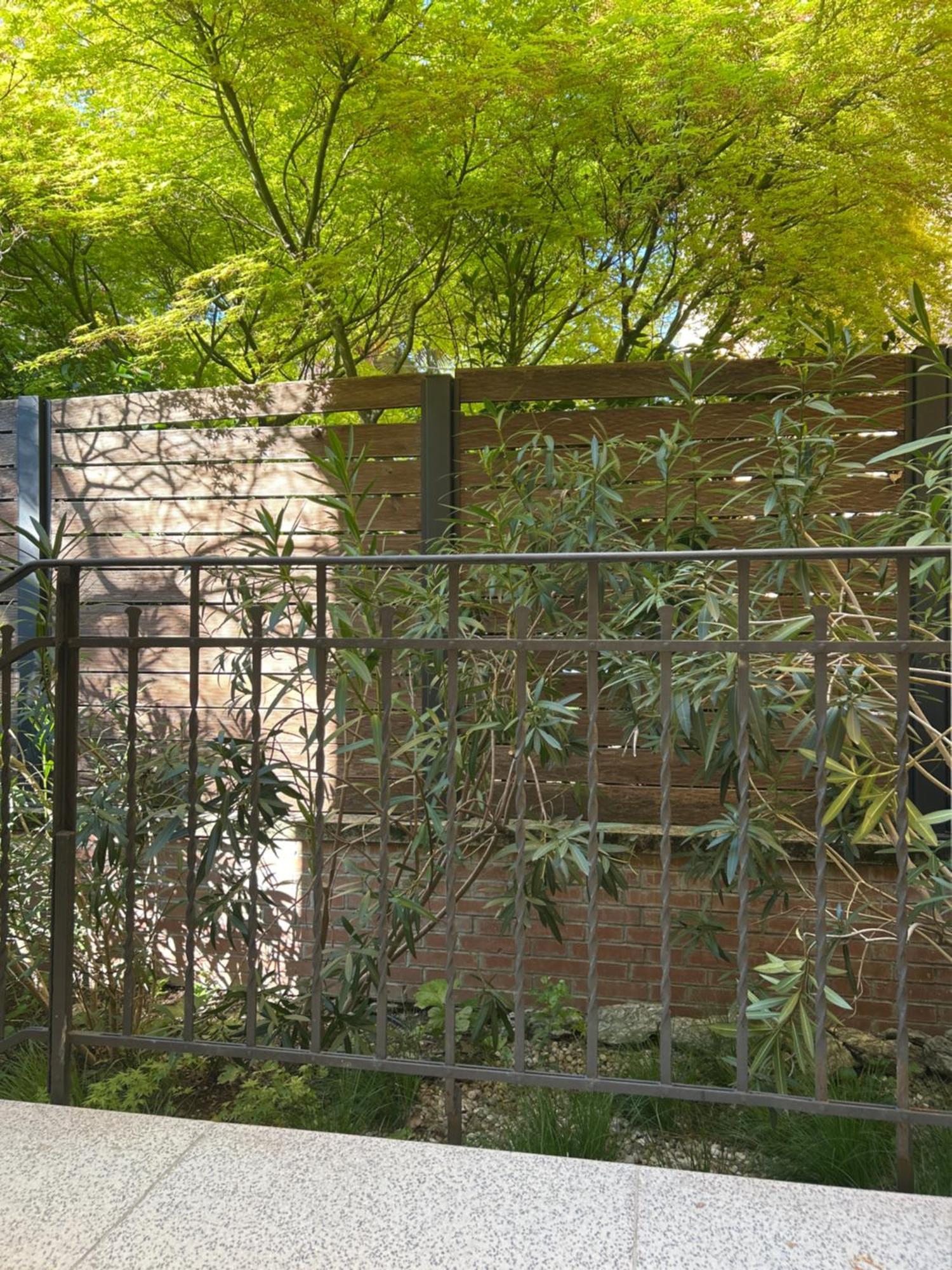Urban Jungle Apartment Bologna Luaran gambar